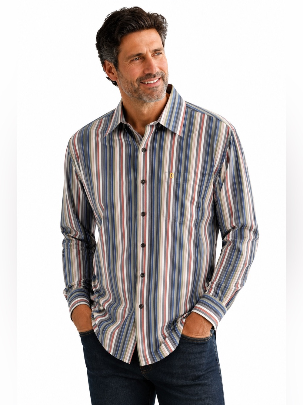 Vintage 2005 National Geographic Travel Collection Striped Button-Down Shirt L